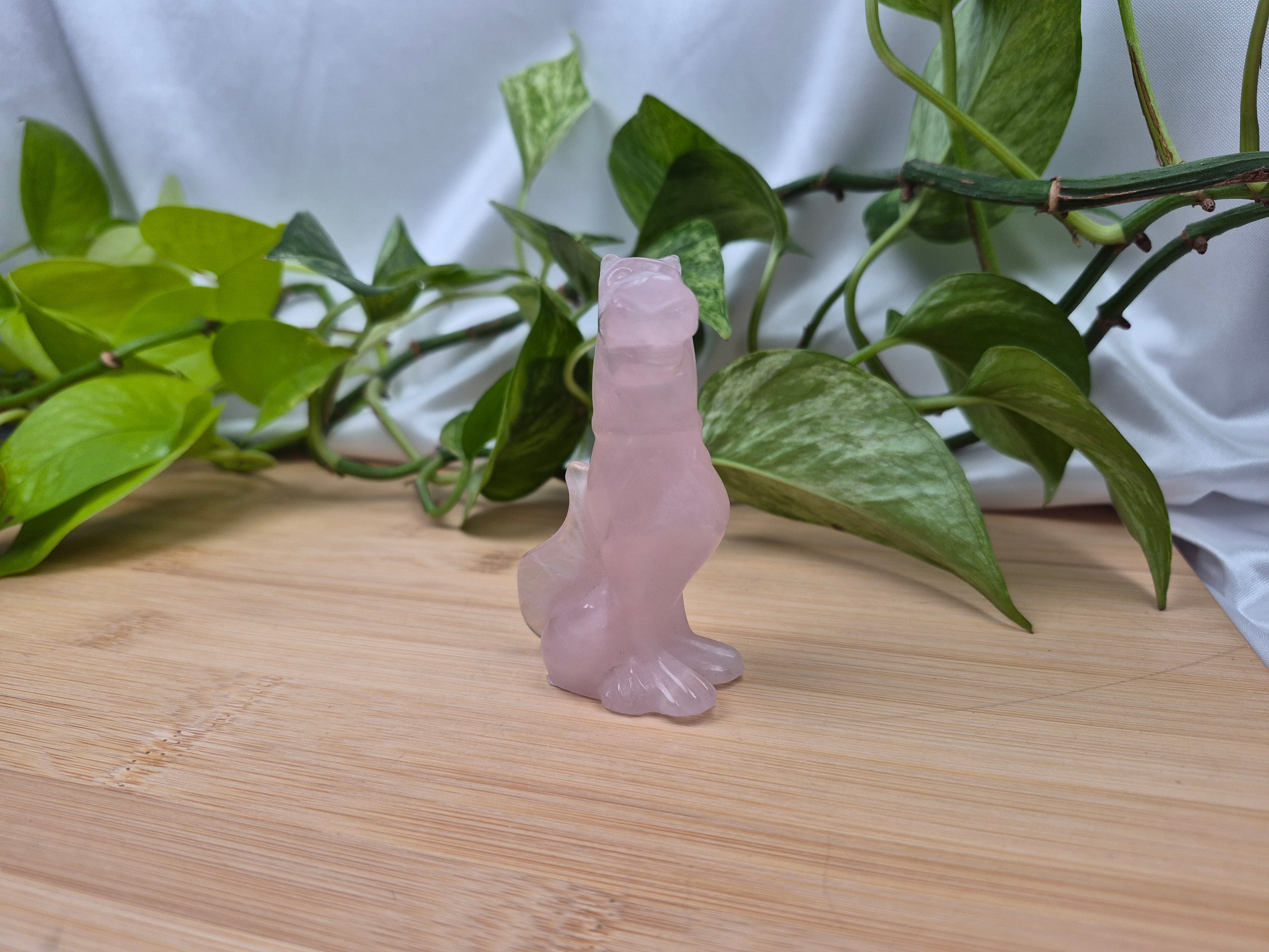 ROSE QUARTZ SCOOBY DOO