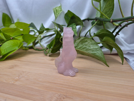 ROSE QUARTZ SCOOBY DOO