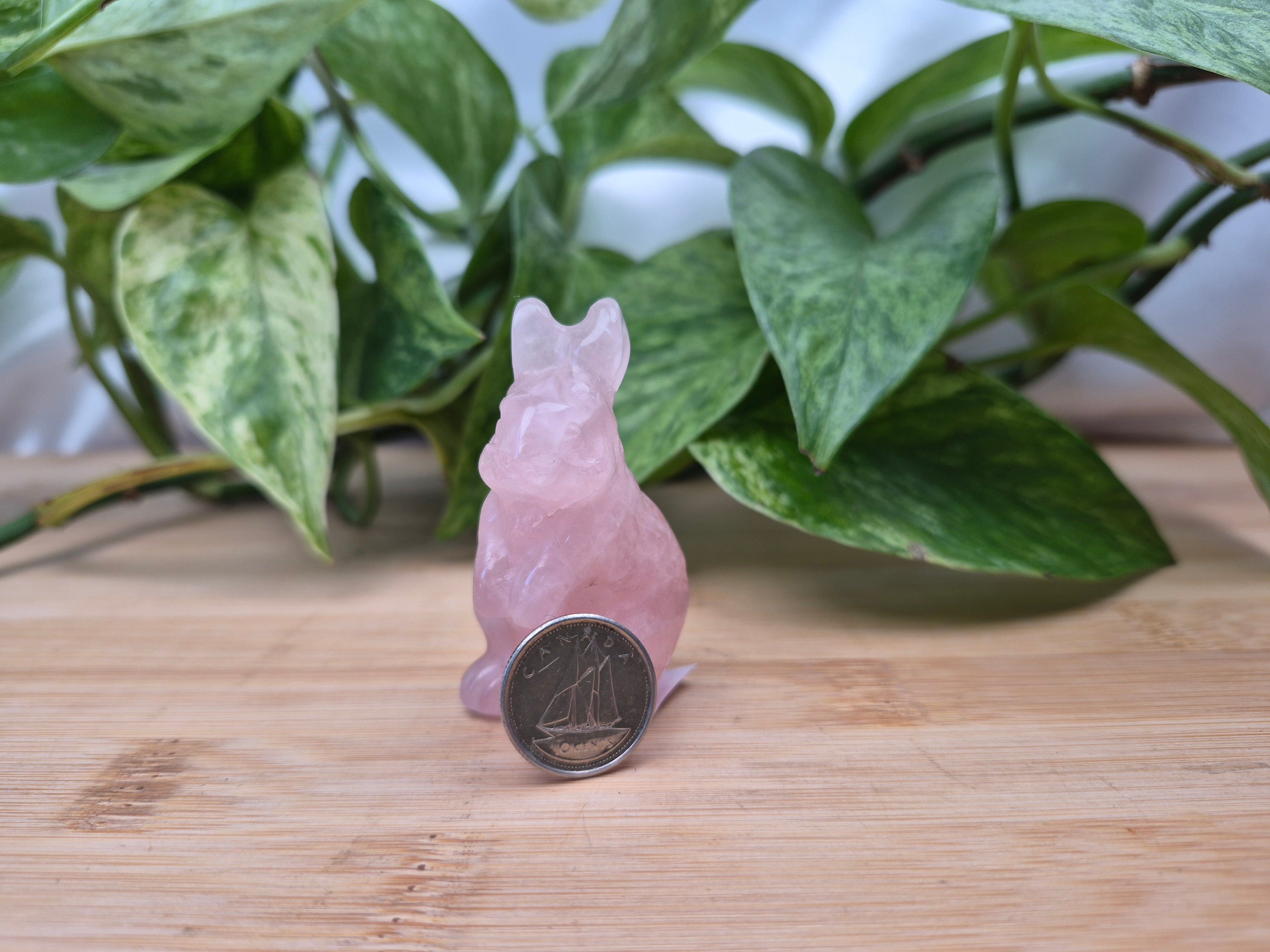 ROSE QUARTZ RABBIT