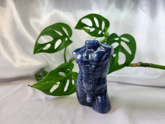 BLUE ADVENTURINE MALE BODY