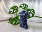 BLUE ADVENTURINE MALE BODY