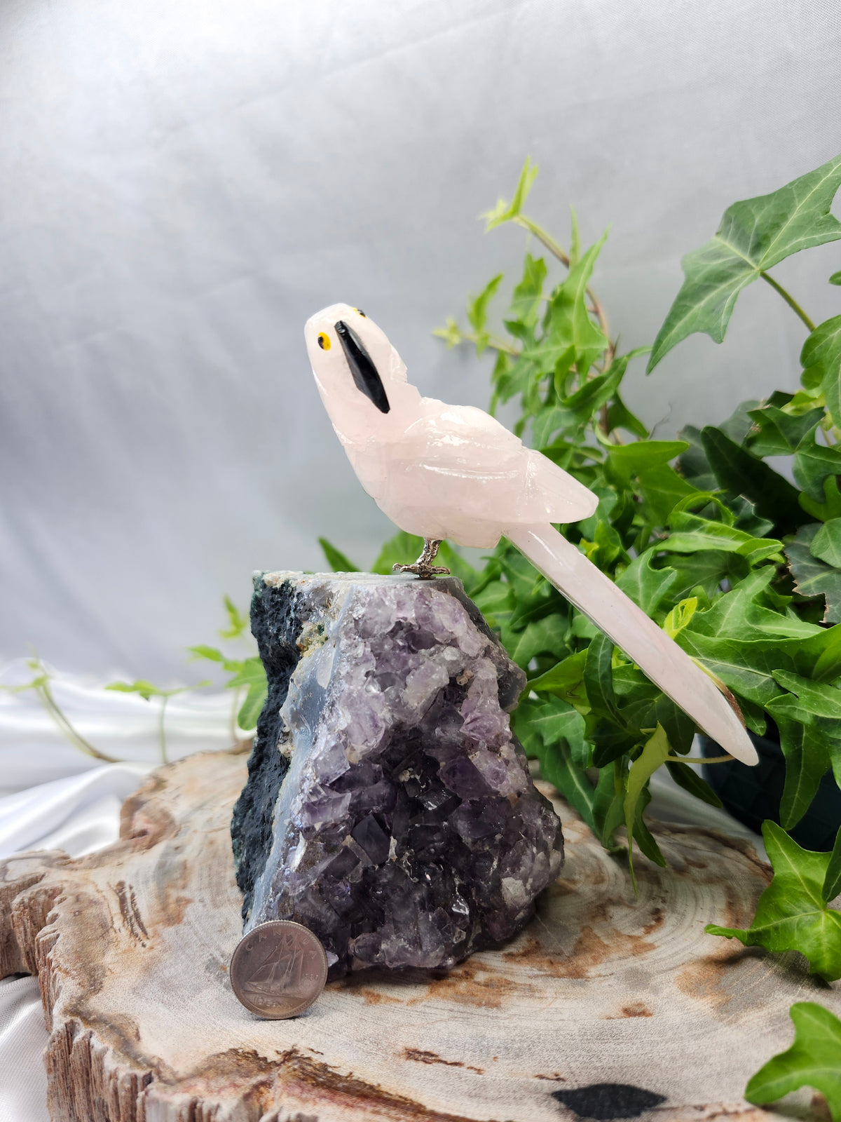 ROSE QUARTZ PARROT OF AMETHYST BASE