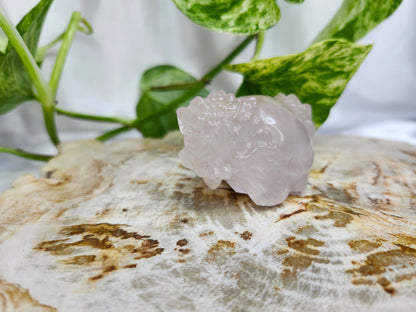 ROSE QUARTZ TURTLE DRAGON