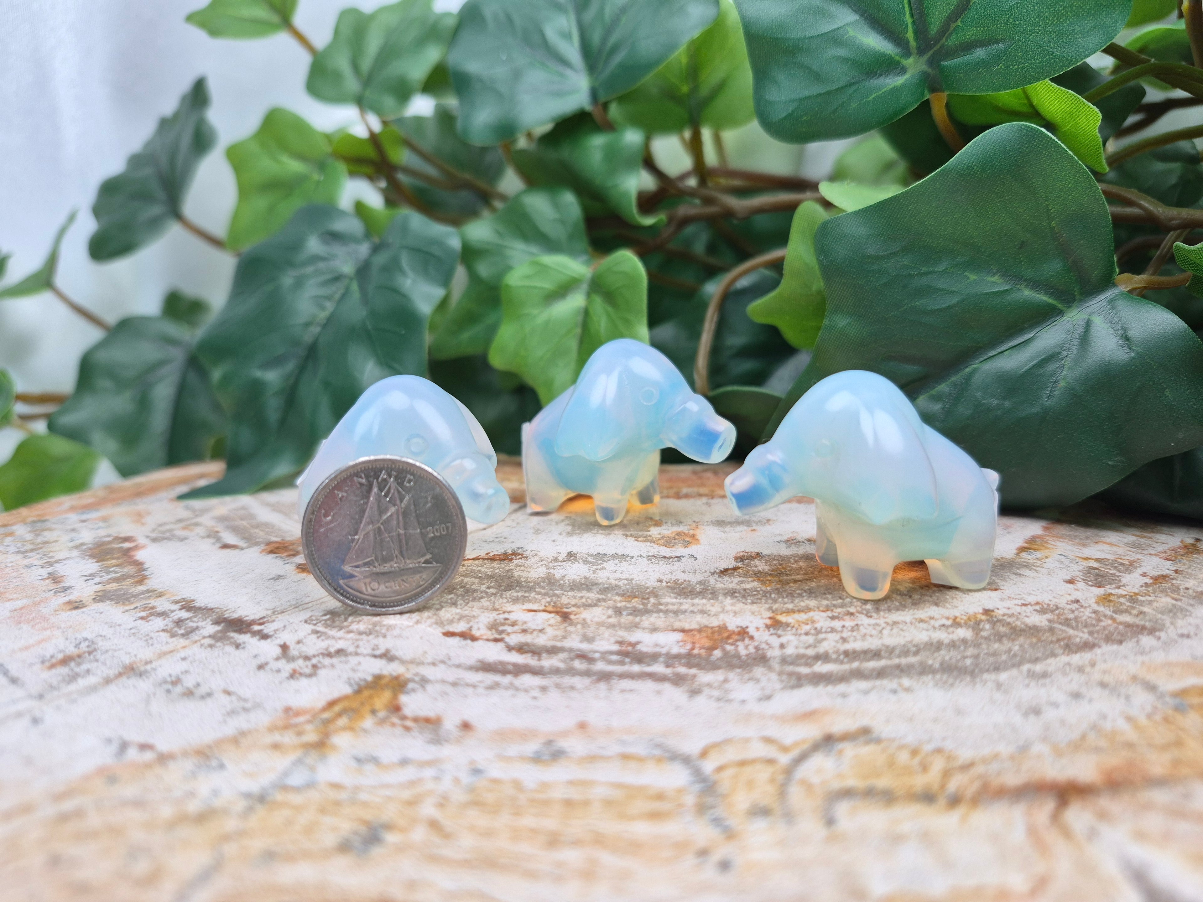 OPALITE PHANPY