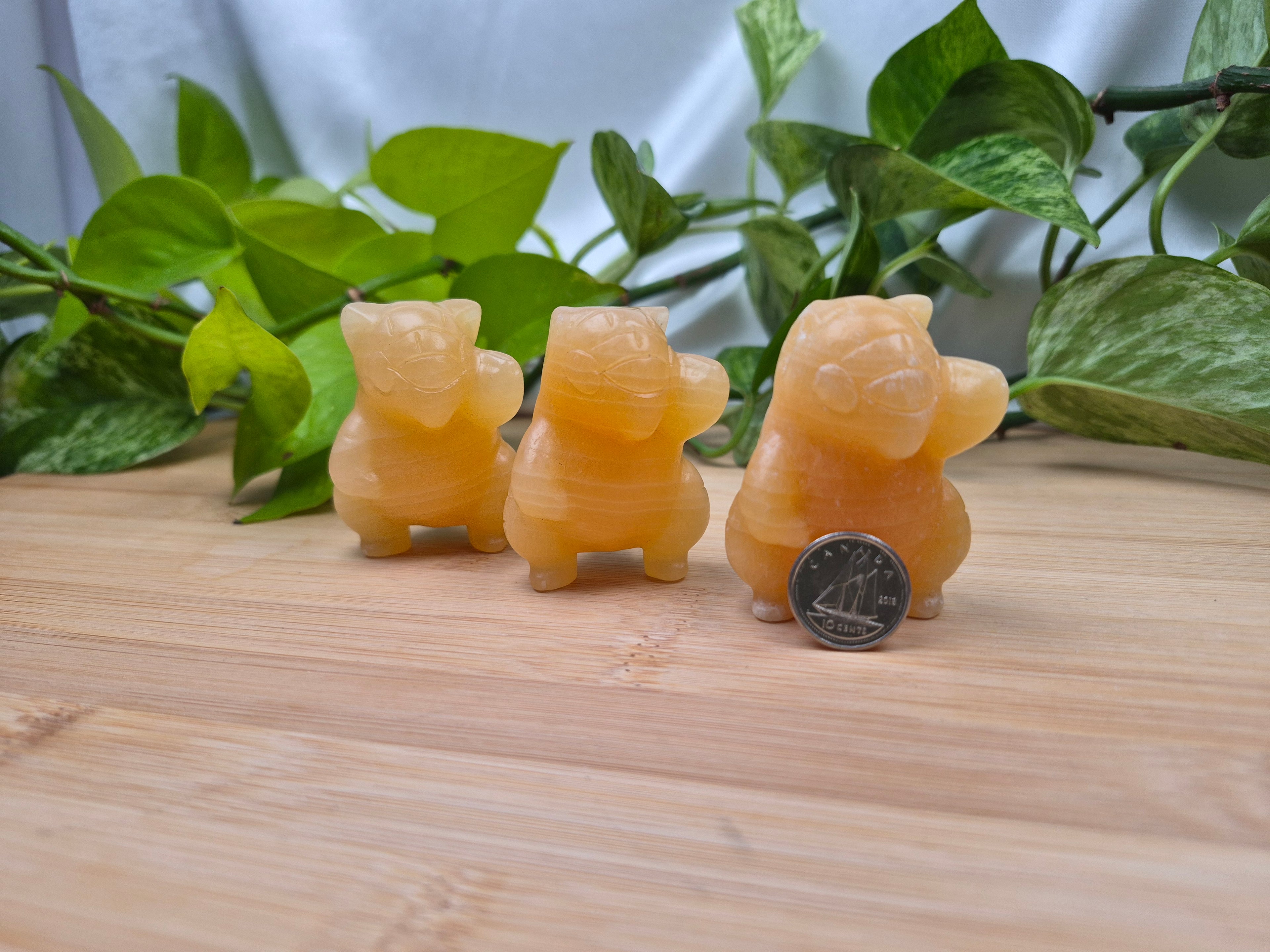 ORANGE CALCITE SANDSHREW