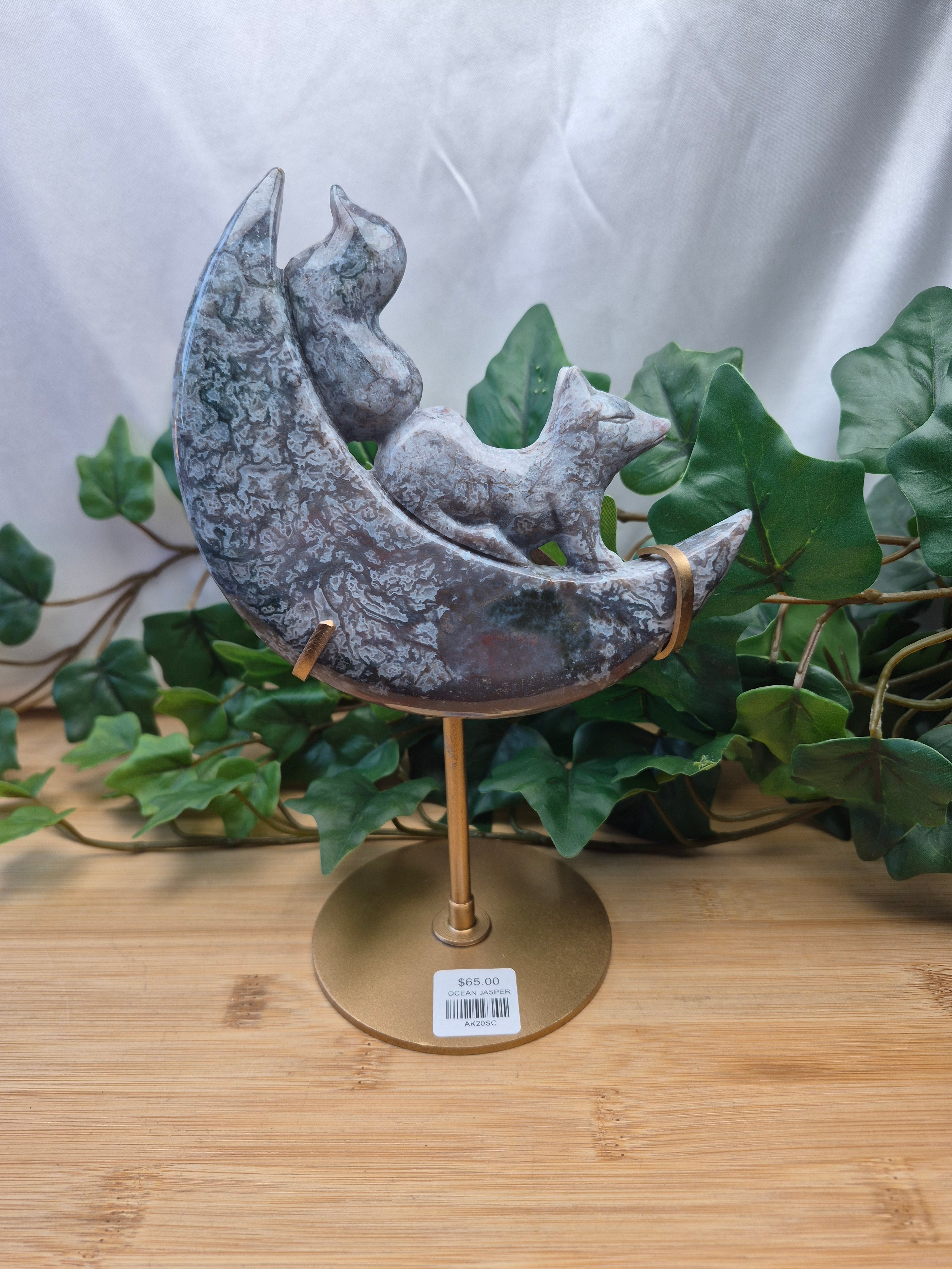 OCEAN JASPER FOX IN MOON