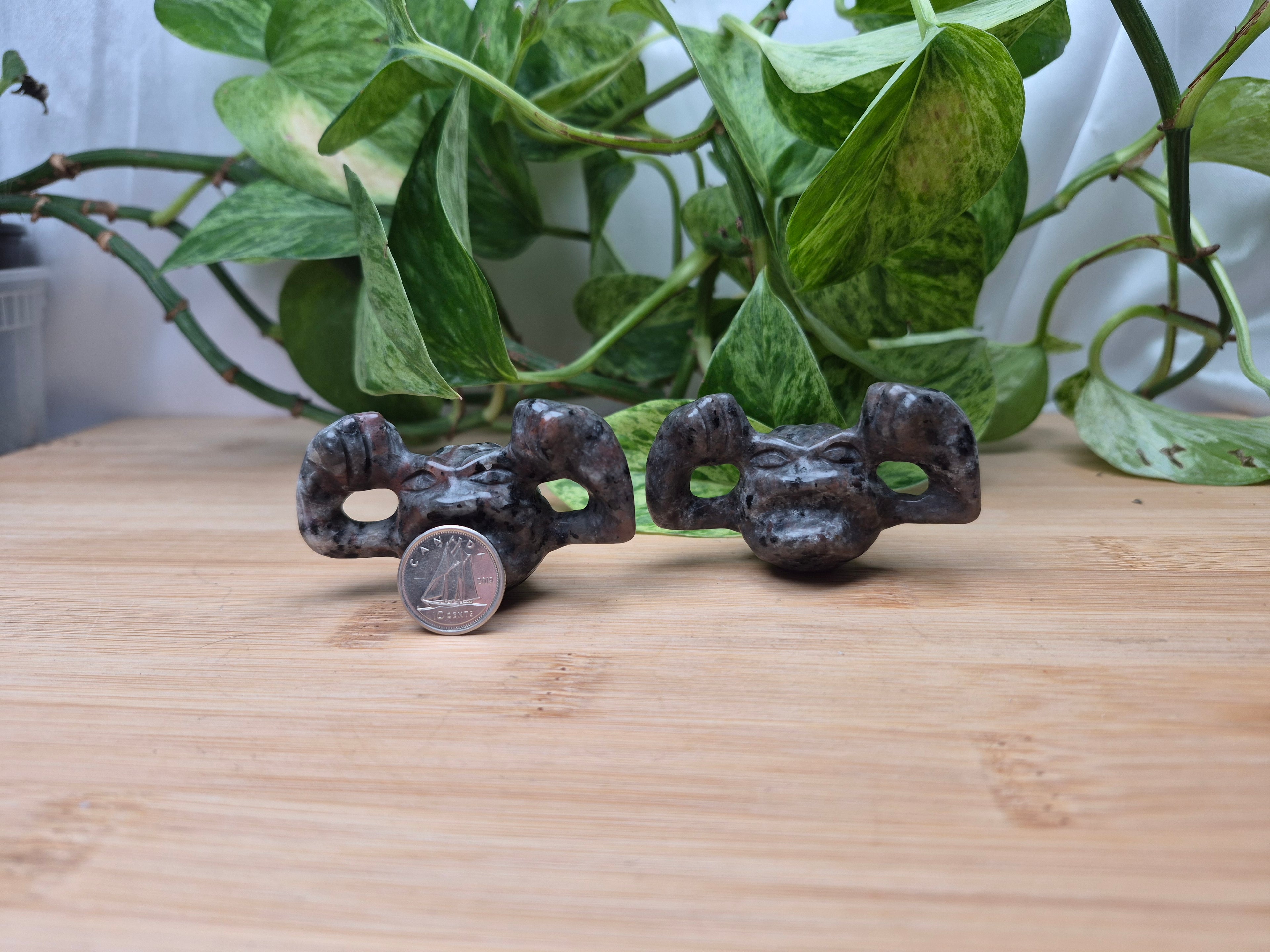 YOOPERLITE GEODUDE SM/MD