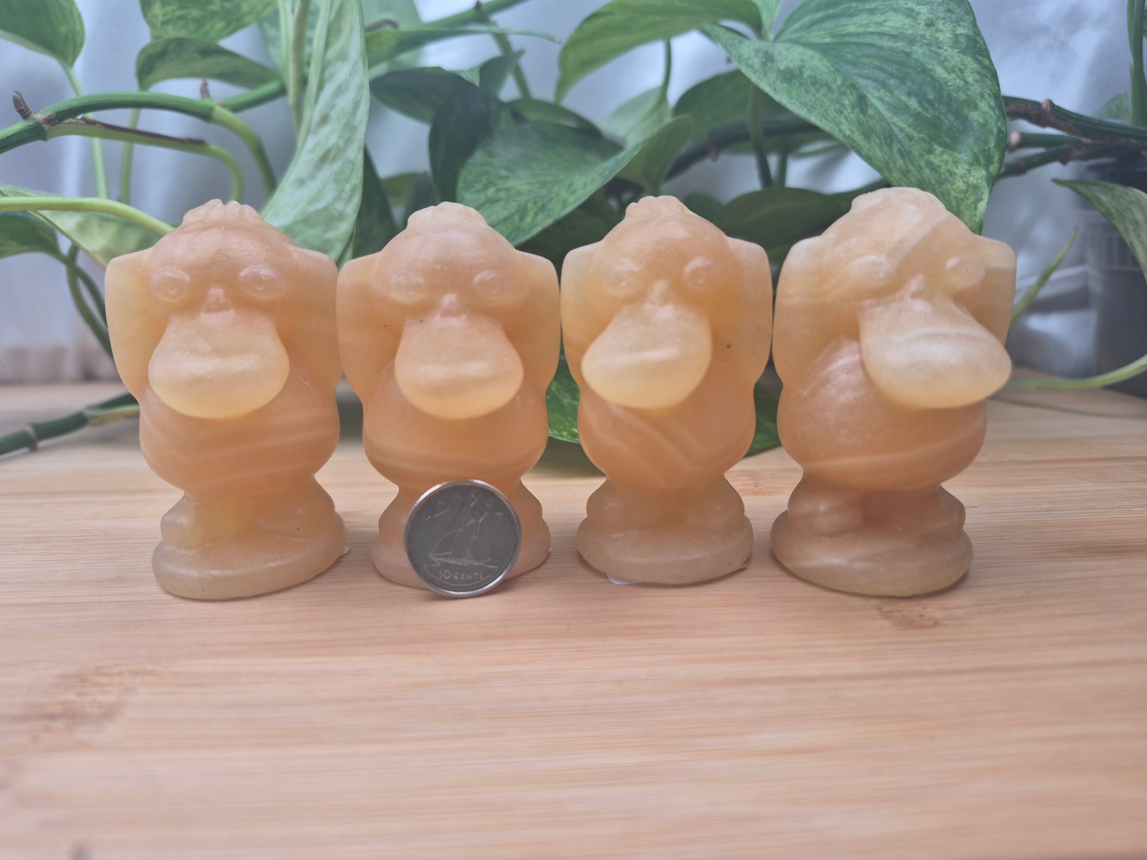 ORANGE CALCITE PSYDUCK