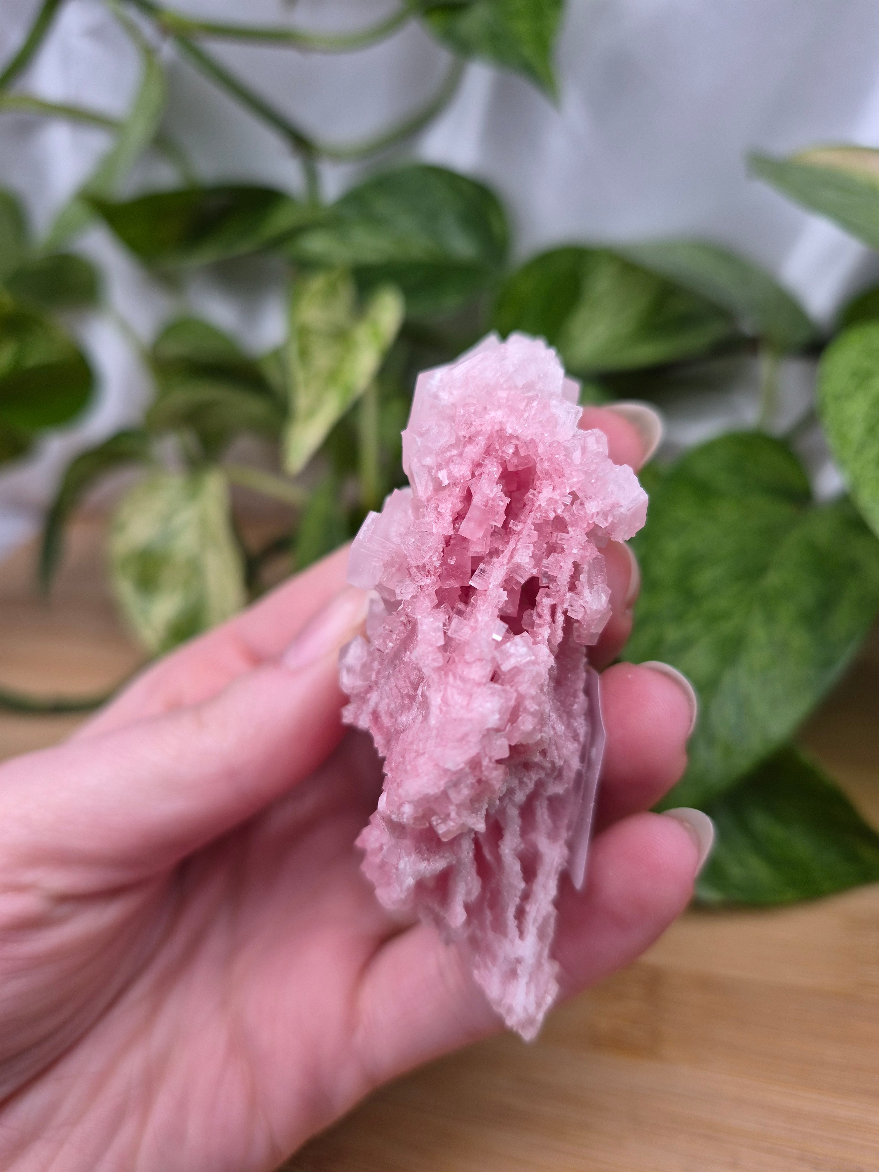 PINK HALITE SPECIMEN