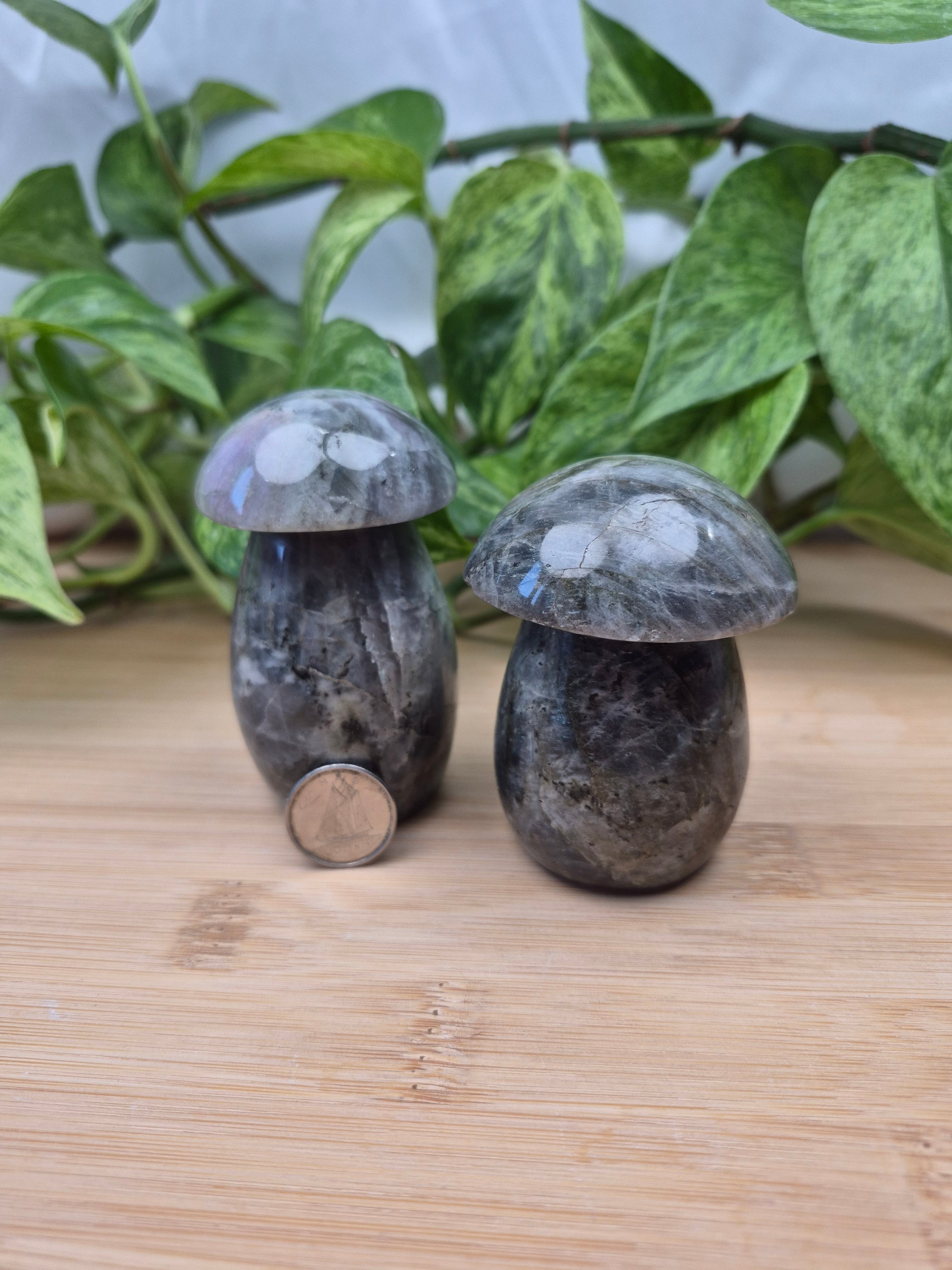 LABRADORITE MUSHROOM