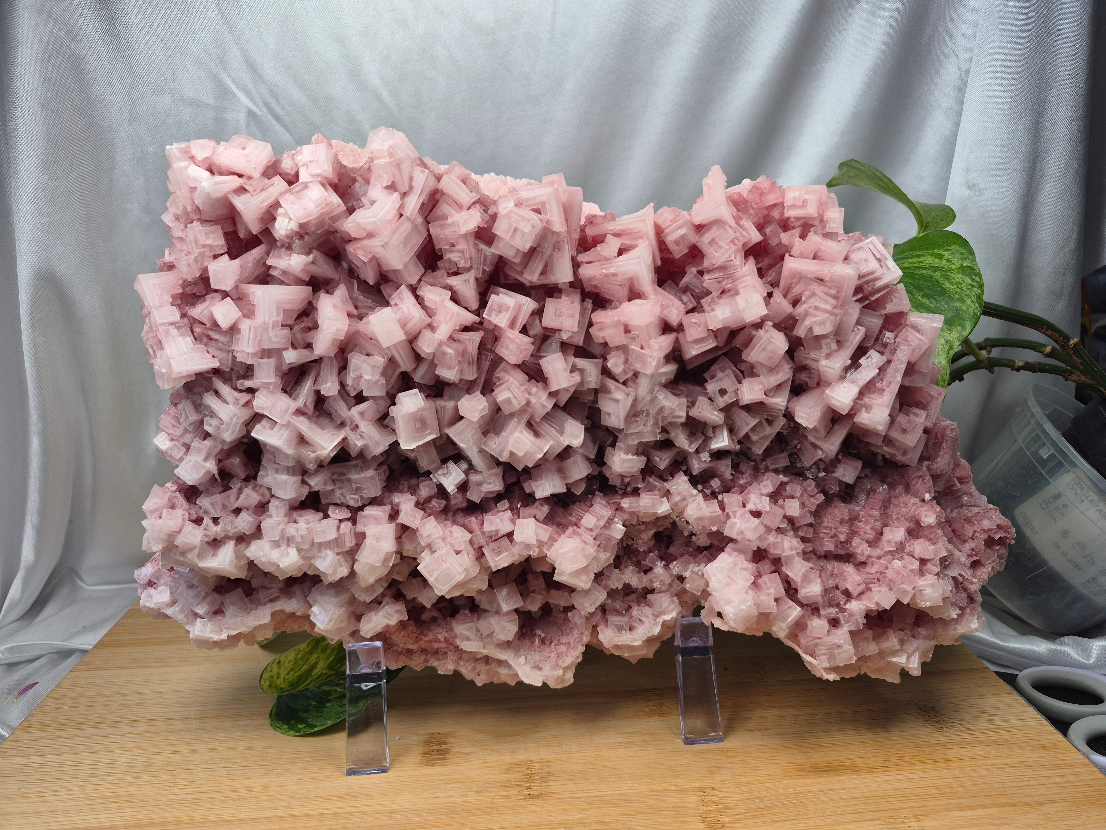 PINK HALITE CLUSTER XL