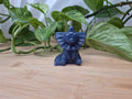BLUE AVENTURINE VAPOREON LG