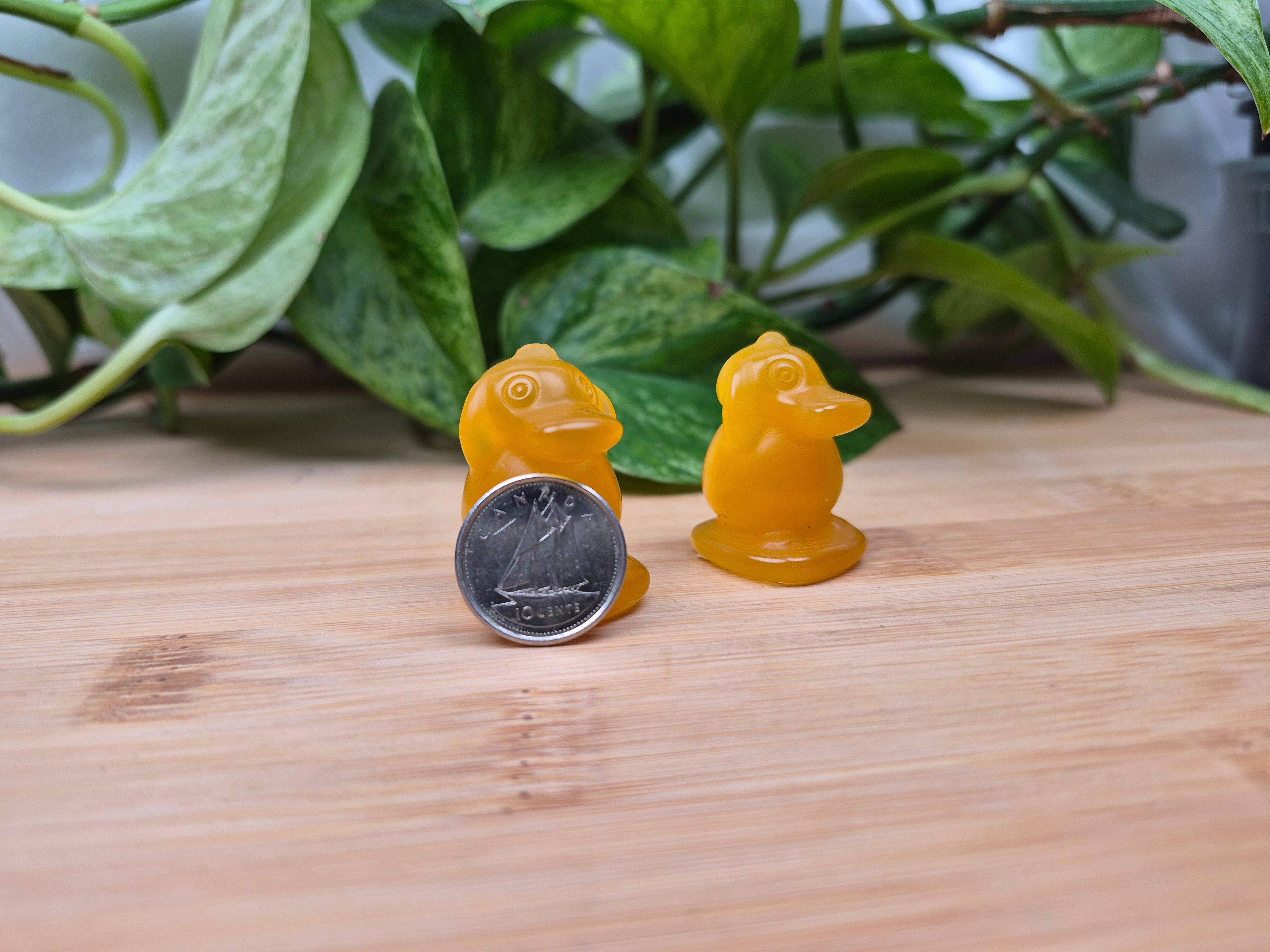 ORANGE CATS EYE PSYDUCK