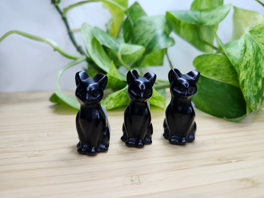 OBSIDIAN CAT