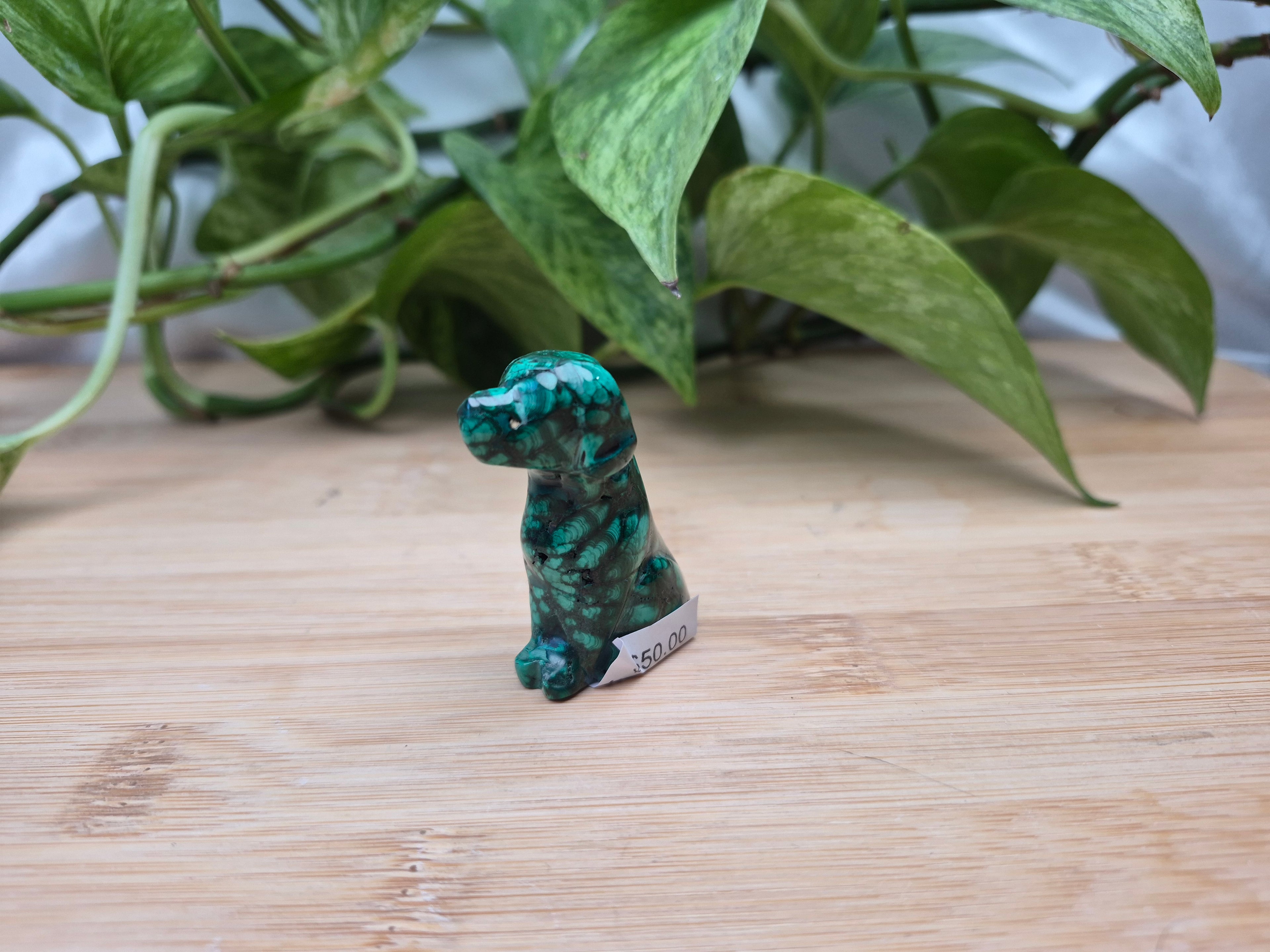 MALACHITE DOG