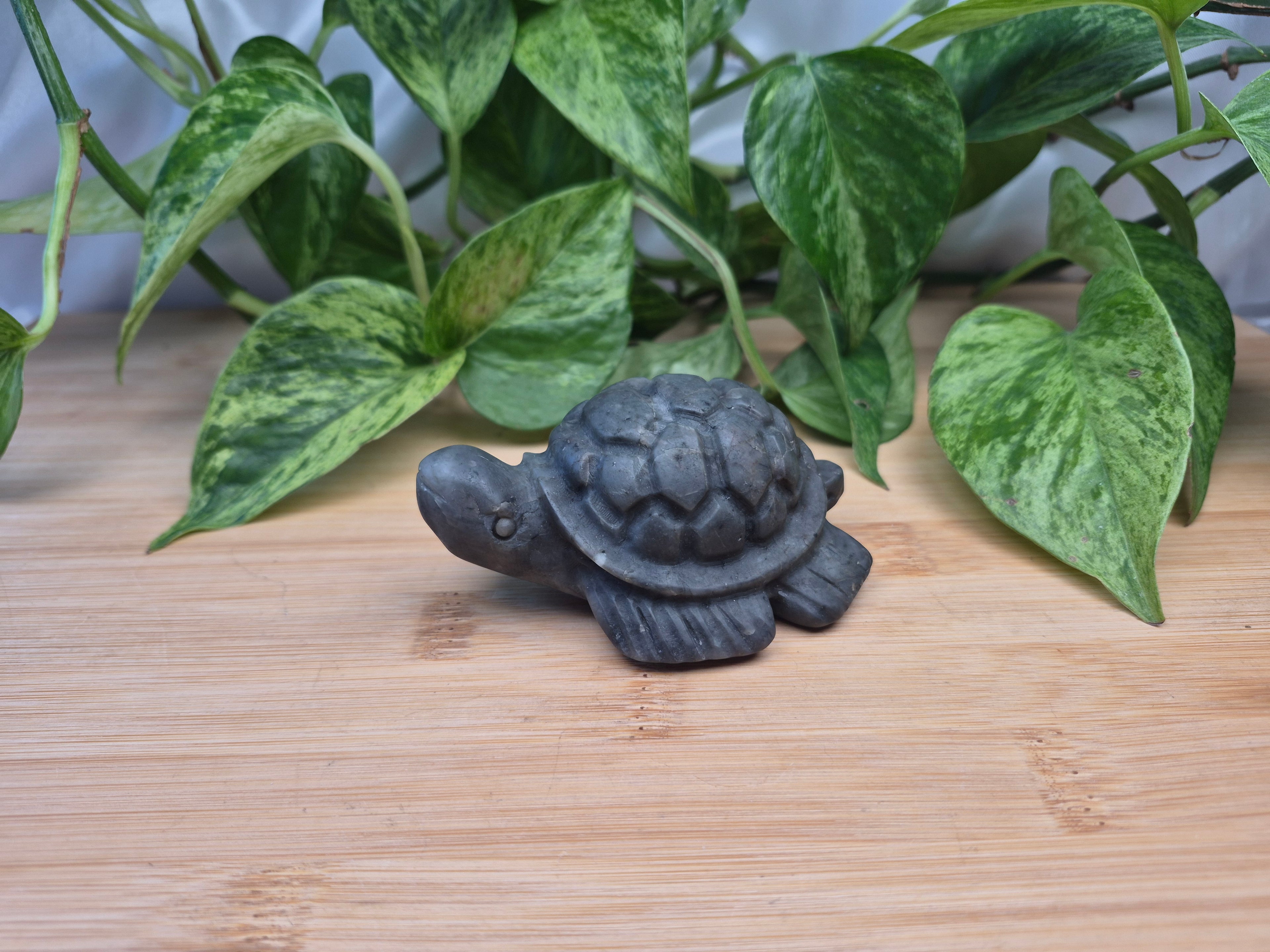 JADE TURTLE