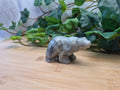 LABRADORITE BEAR