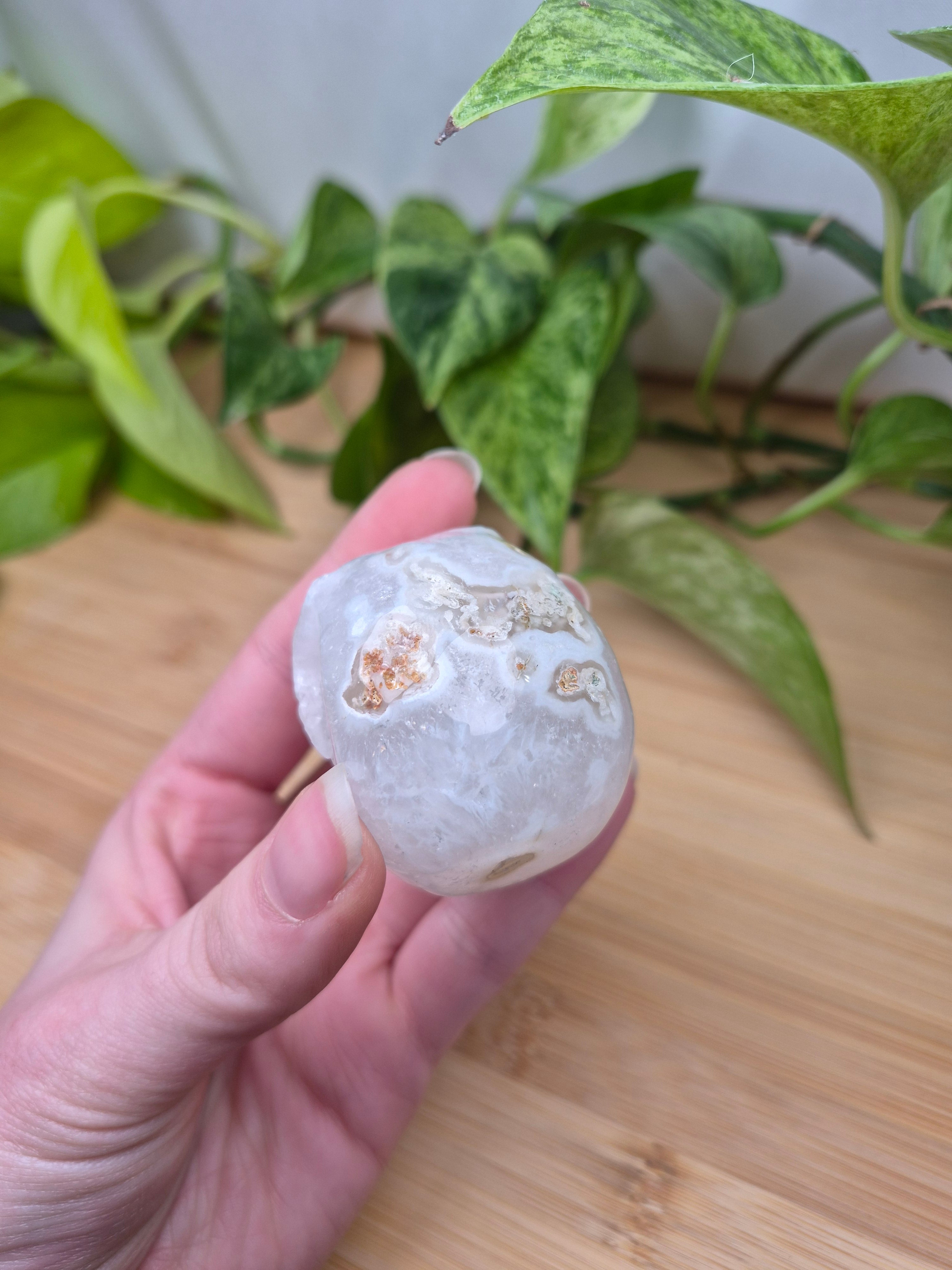 MOSS AGATE SKULL MD