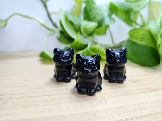 OBSIDIAN SITTING CAT