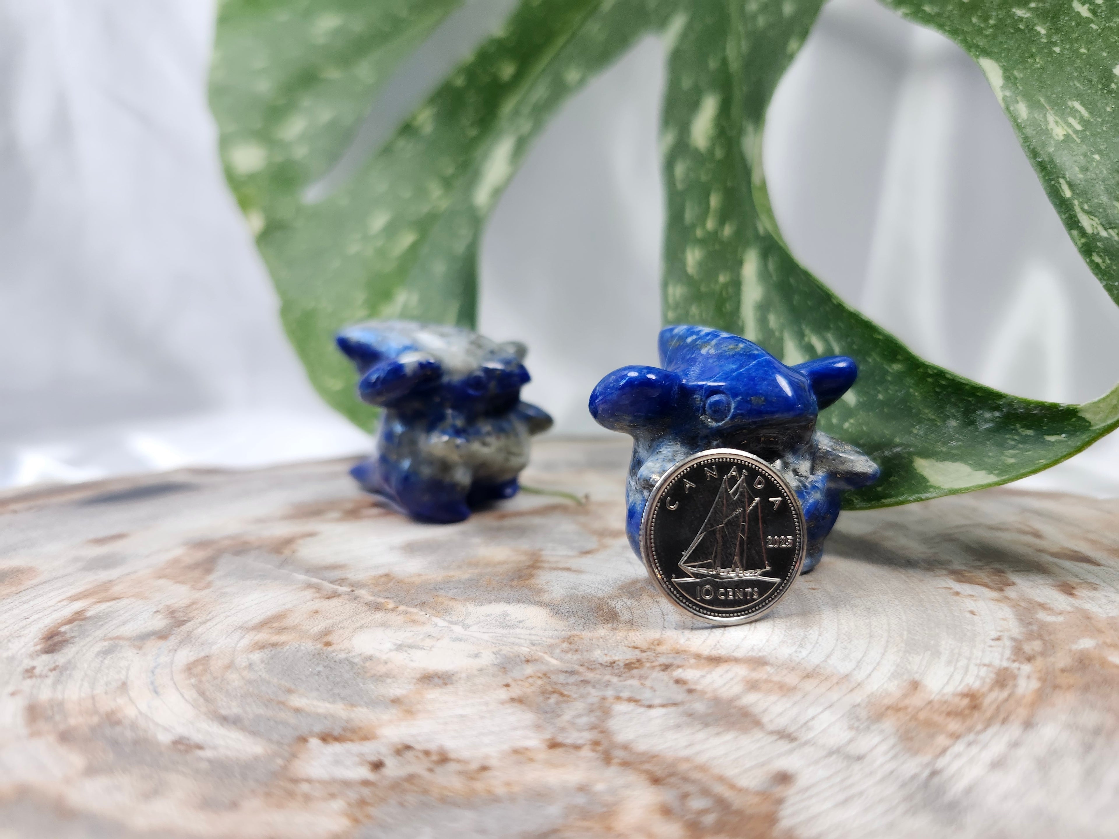 LAPIS LAZULI GIBLE