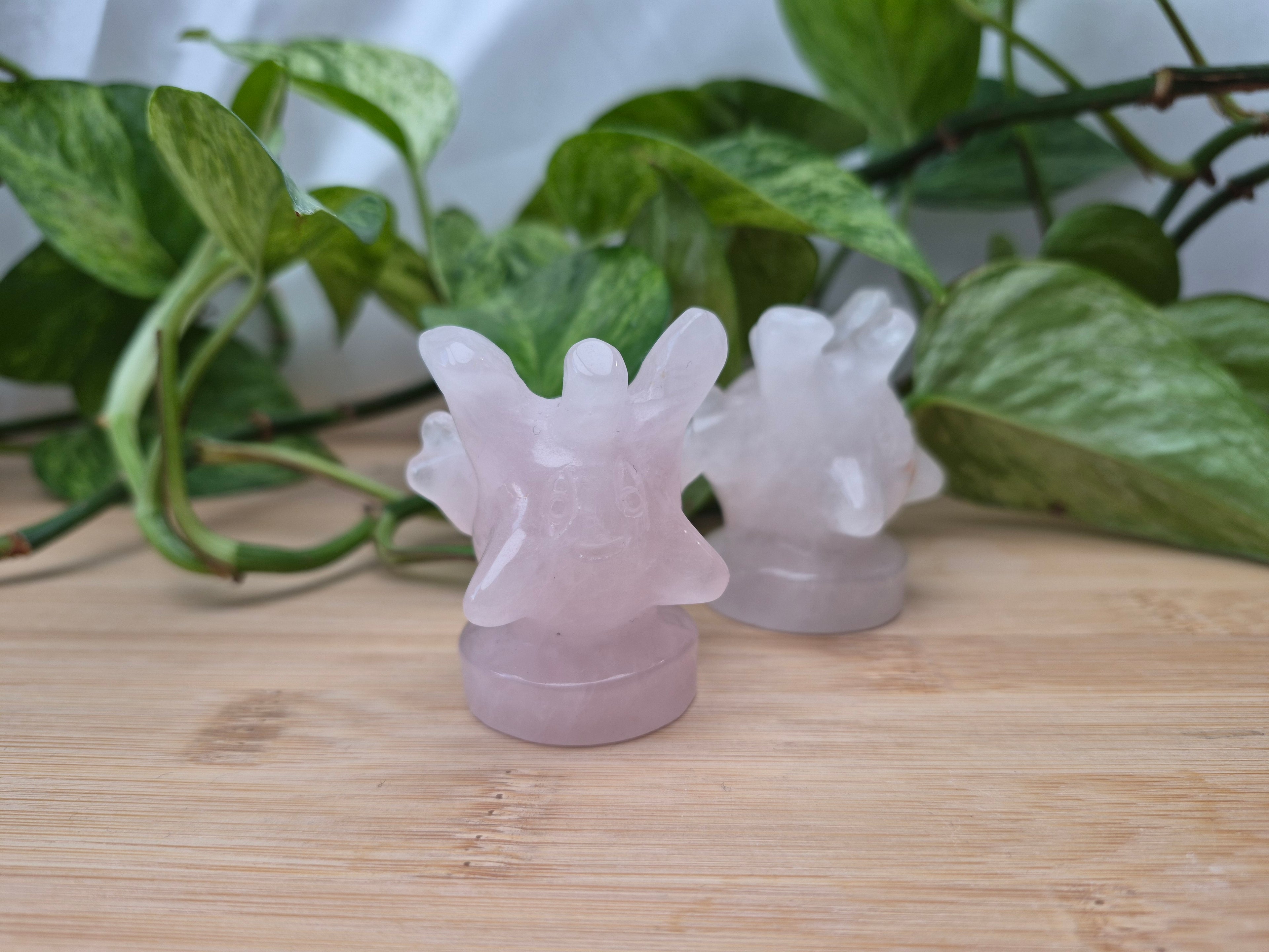 ROSE QUARTZ CORSOLA LG
