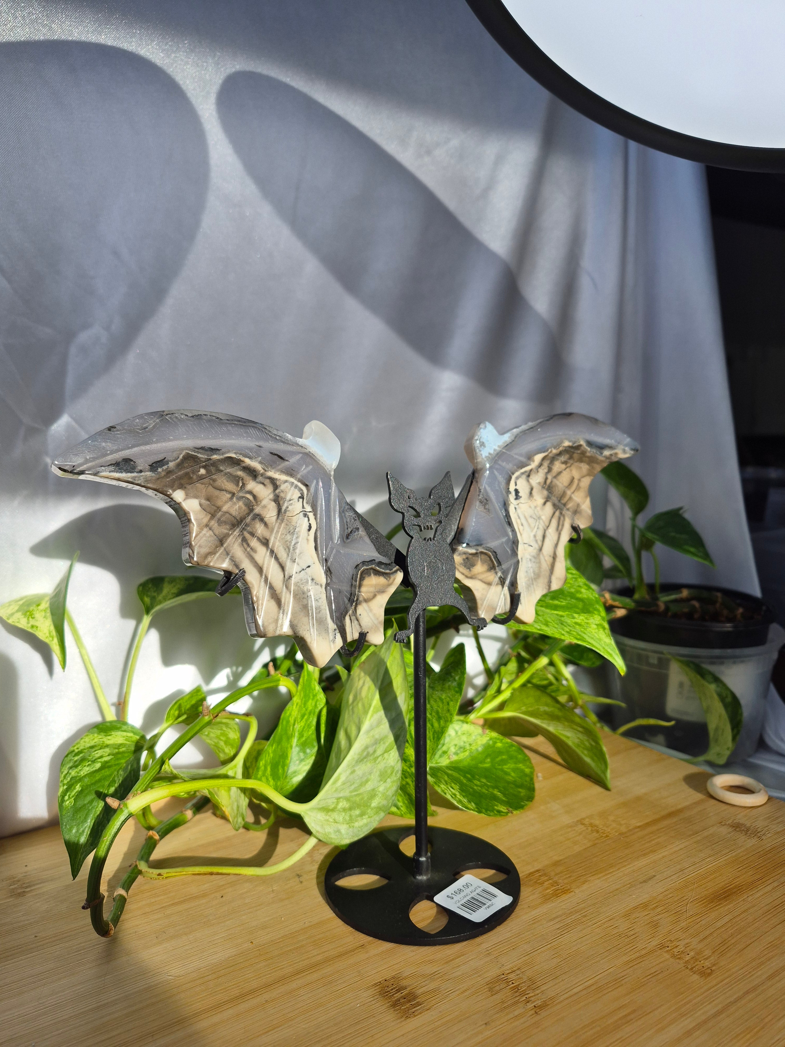 VOLCANO AGATE BAT WINGS LG