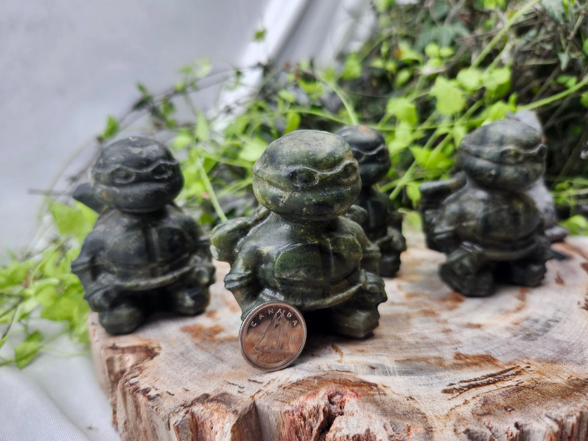 JADE AND YOOPERLITE NINJA TURTLE SET (5pc)
