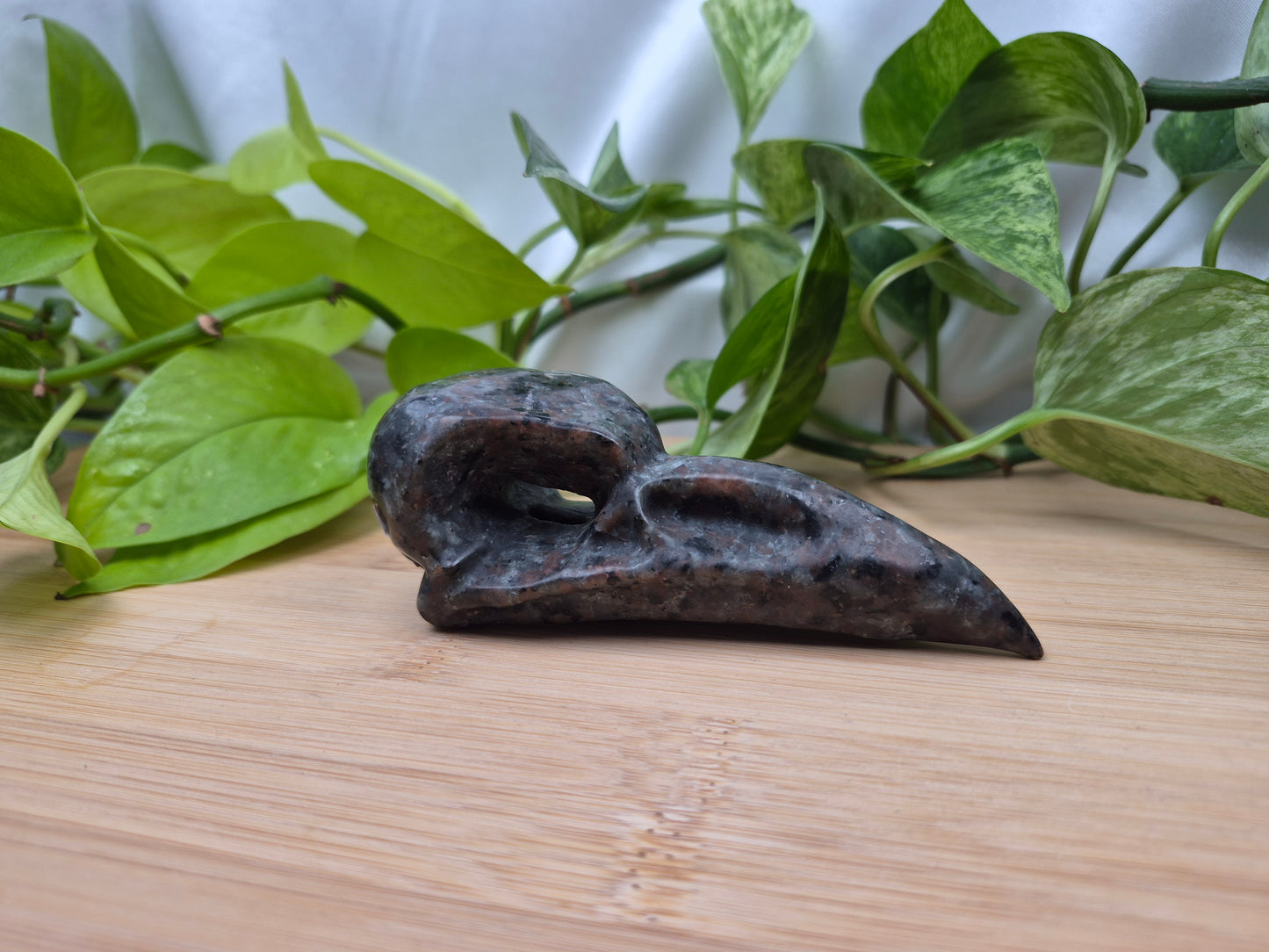 YOOPERLITE BIRD SKULL LARGE