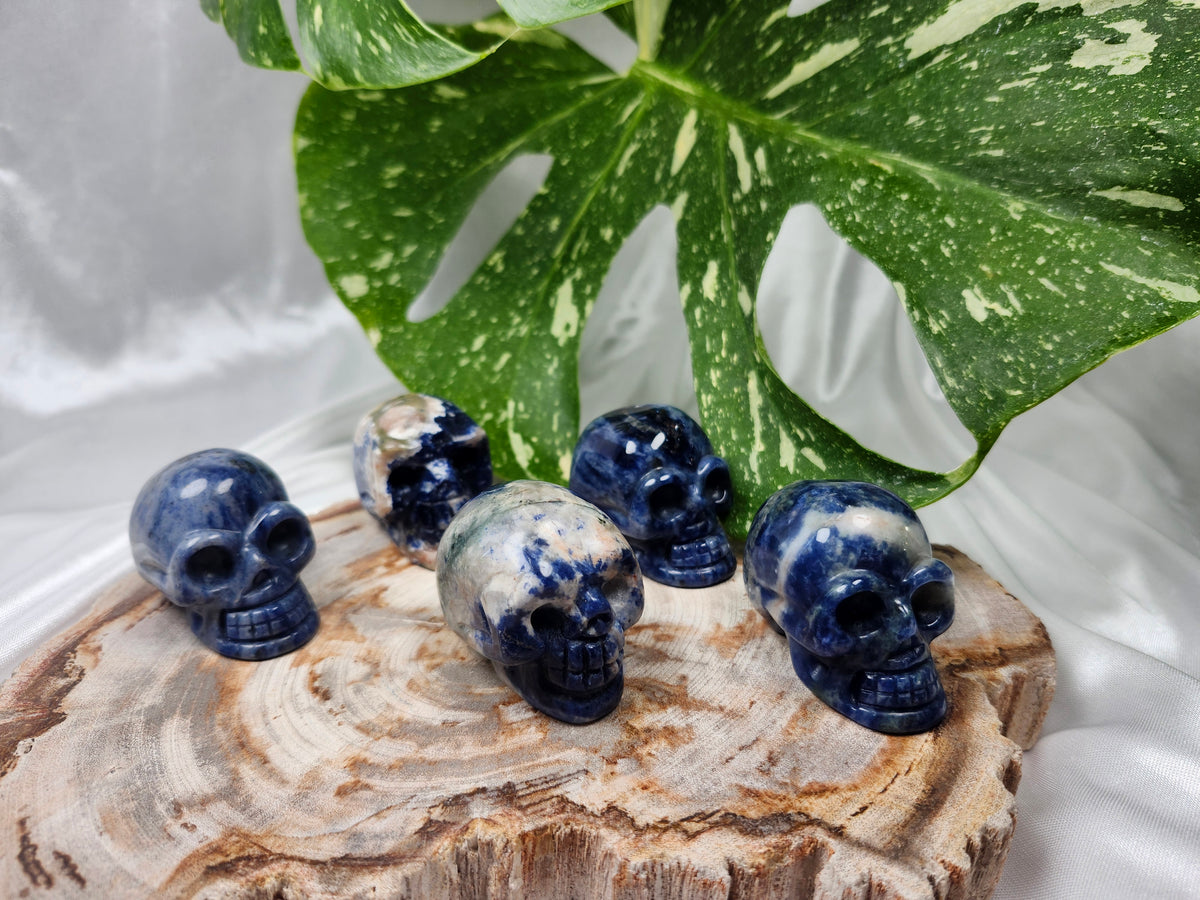 SODALITE SKULL