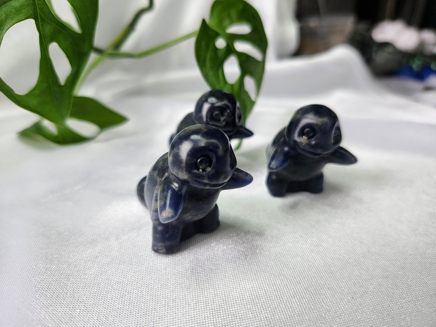 UV REACTIVE SODALITE SQUIRTLE
