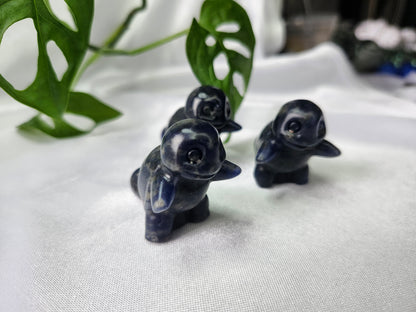 UV REACTIVE SODALITE SQUIRTLE
