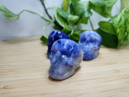 SODALITE SKULL