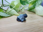 BLOODSTONE FROG