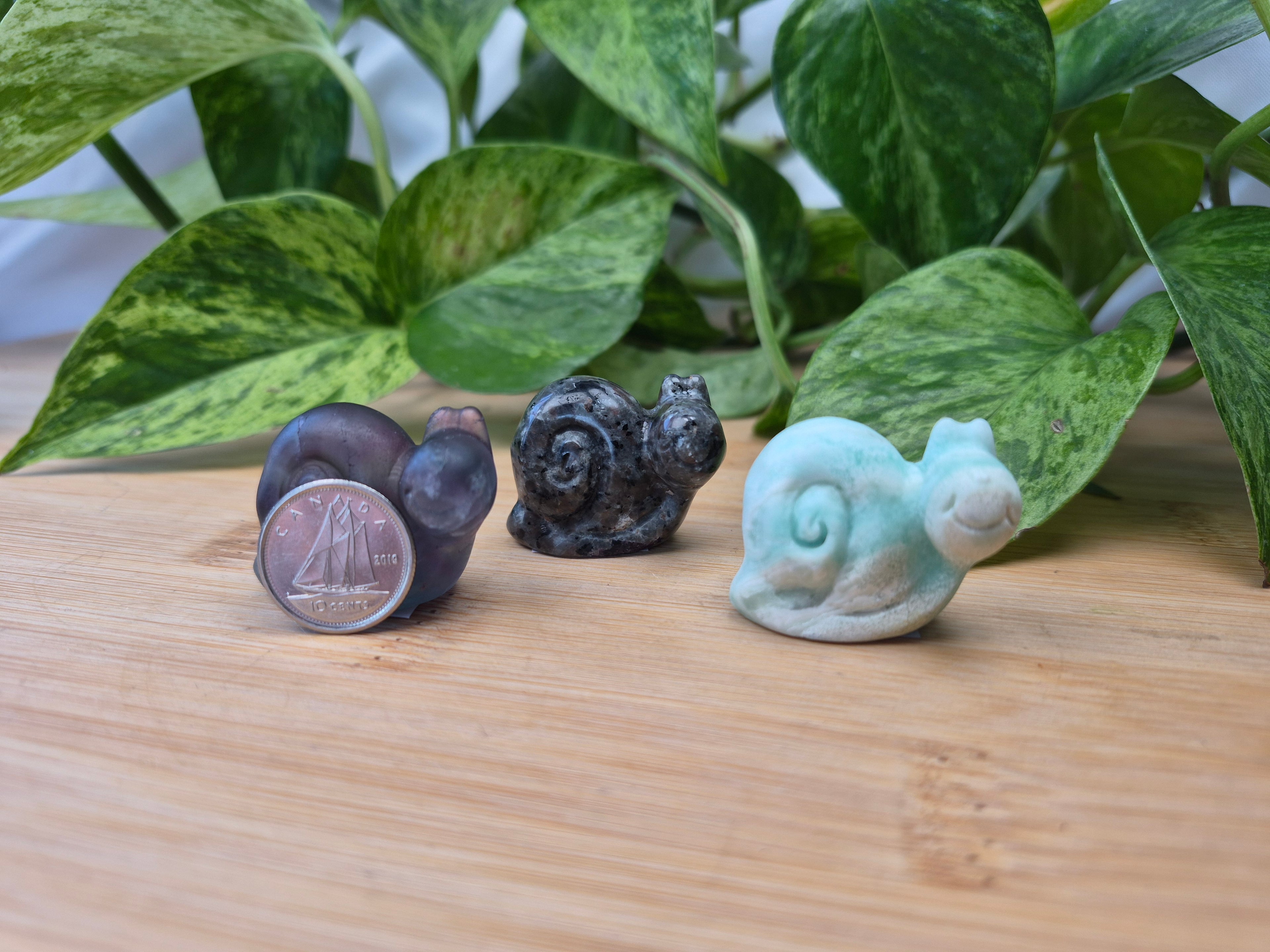 MIXED CRYSTAL SNAIL
