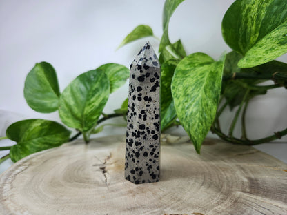 DALMATION JASPER TOWER