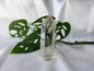 SMOKY QUARTZ TOWER