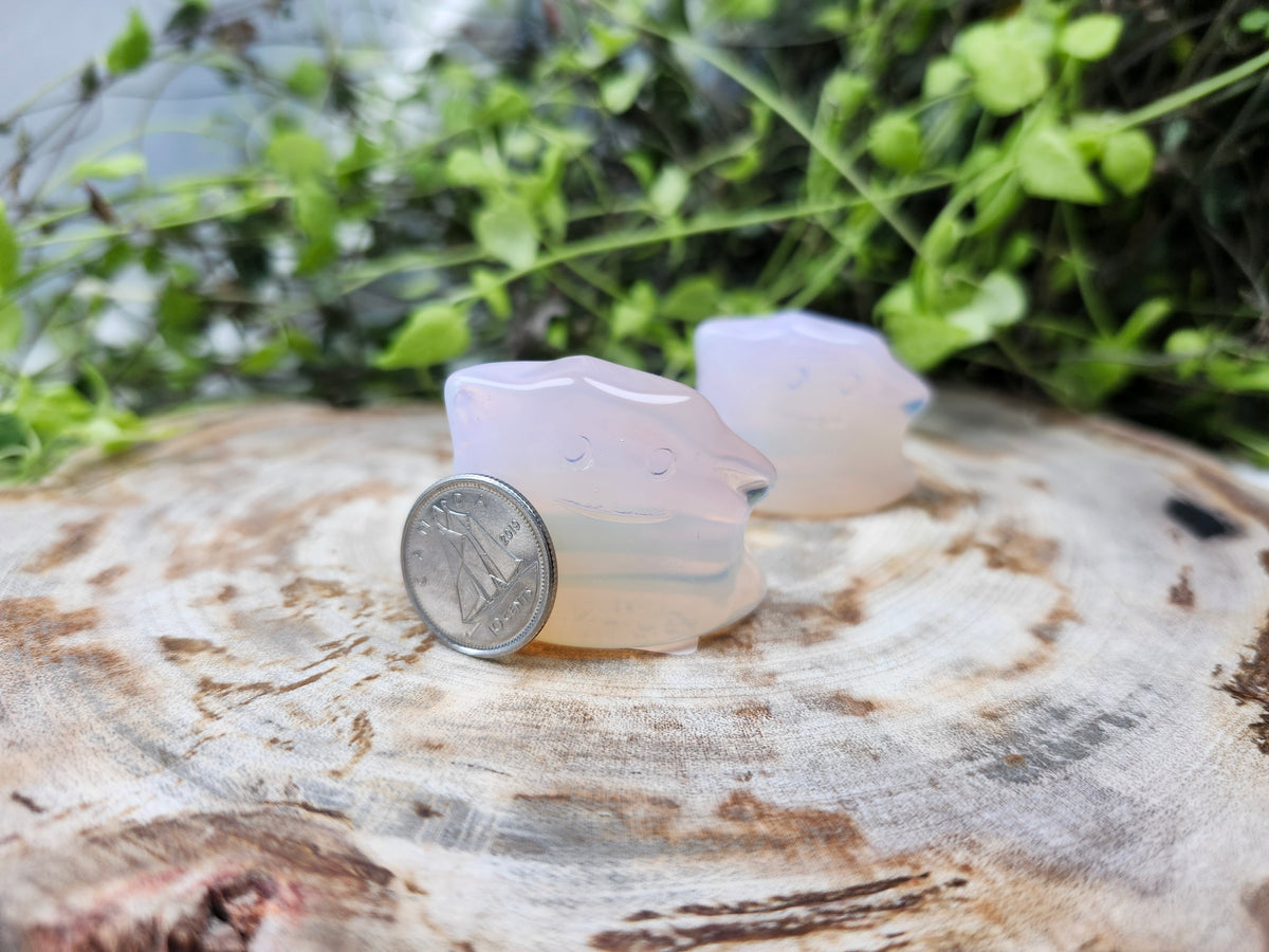 PINK OPALITE DITTO