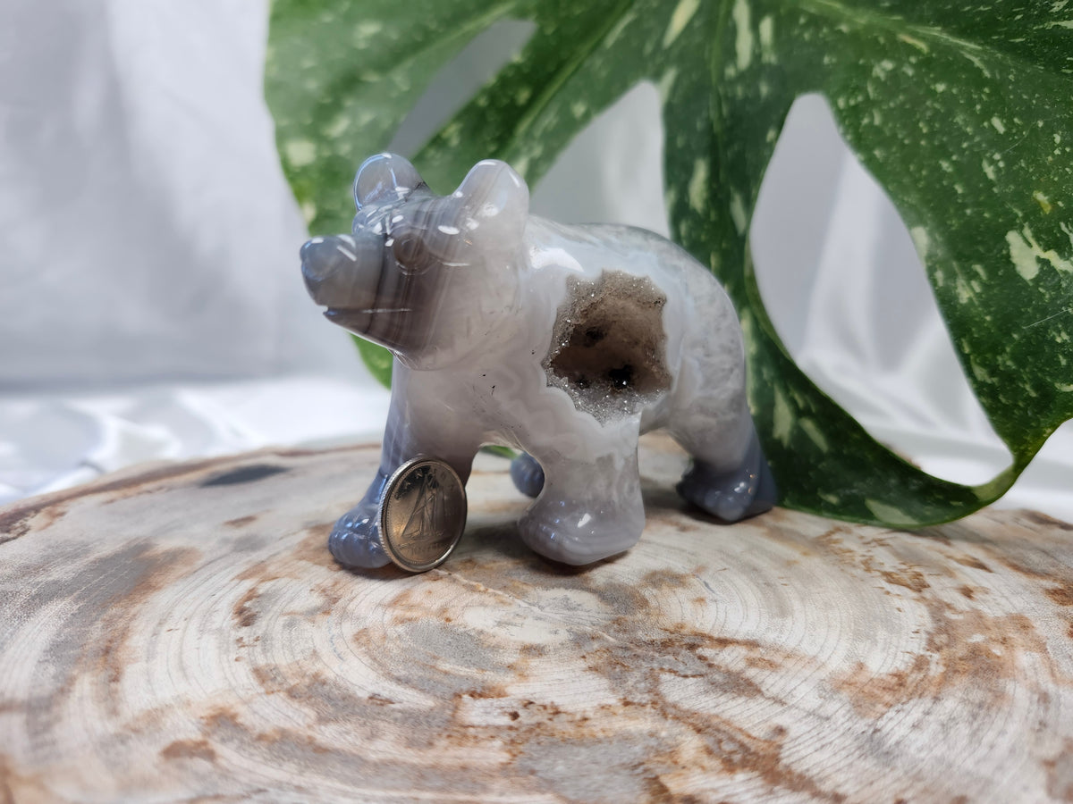 DRUZY AGATE BEAR
