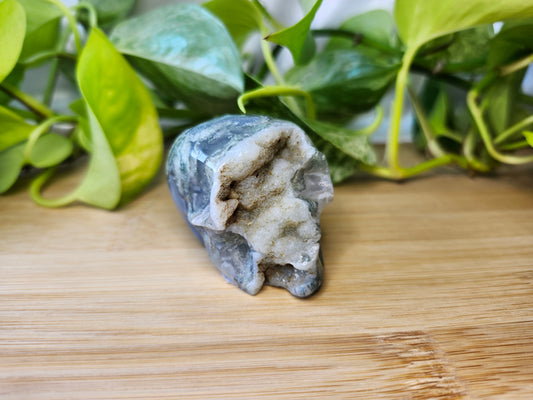 MOSS AGATE SKULL