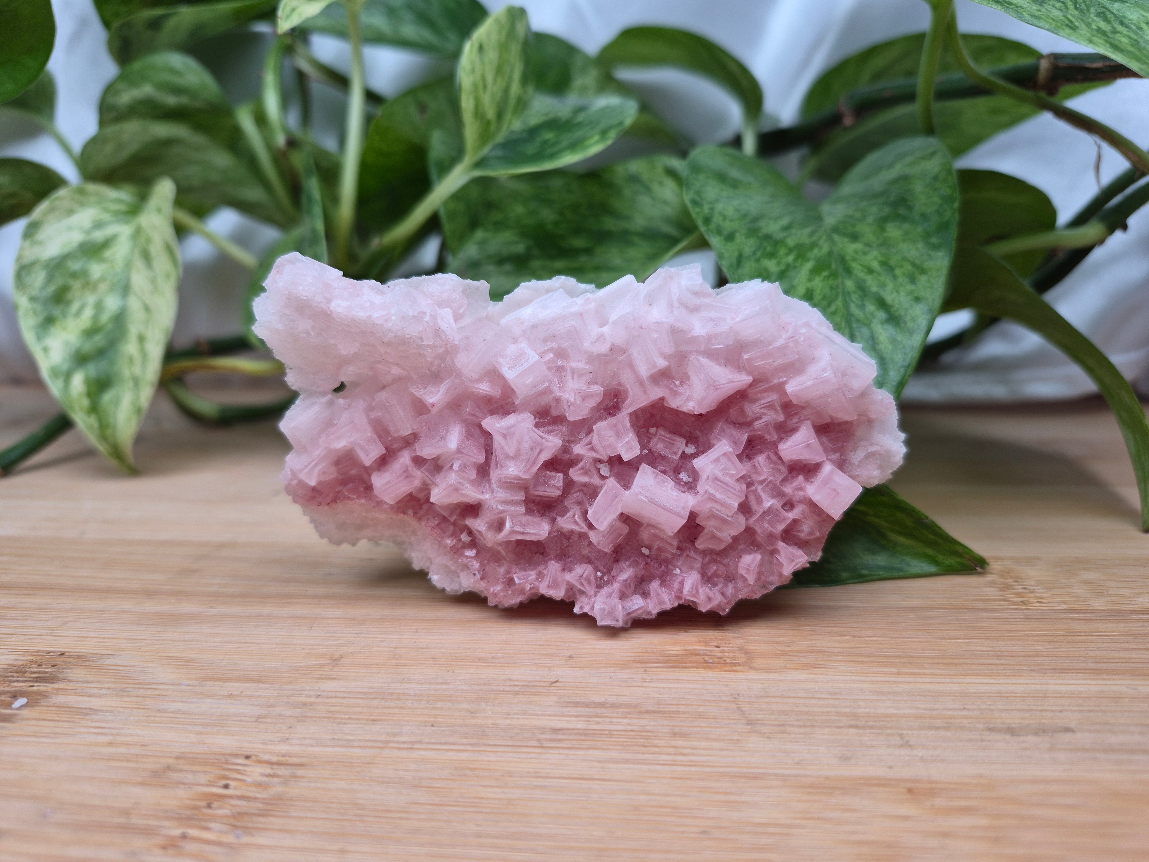 PINK HALITE SPECIMEN