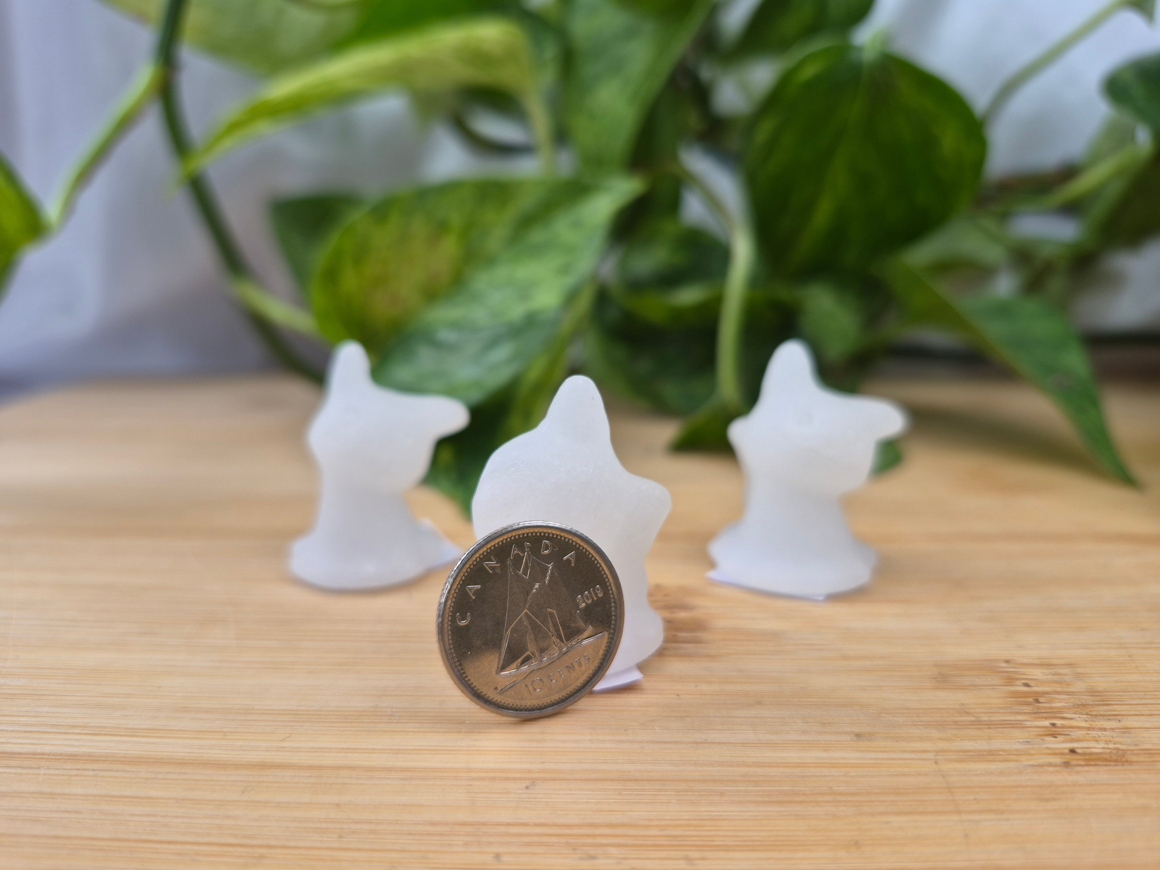 WHITE JADE MIMIKYU
