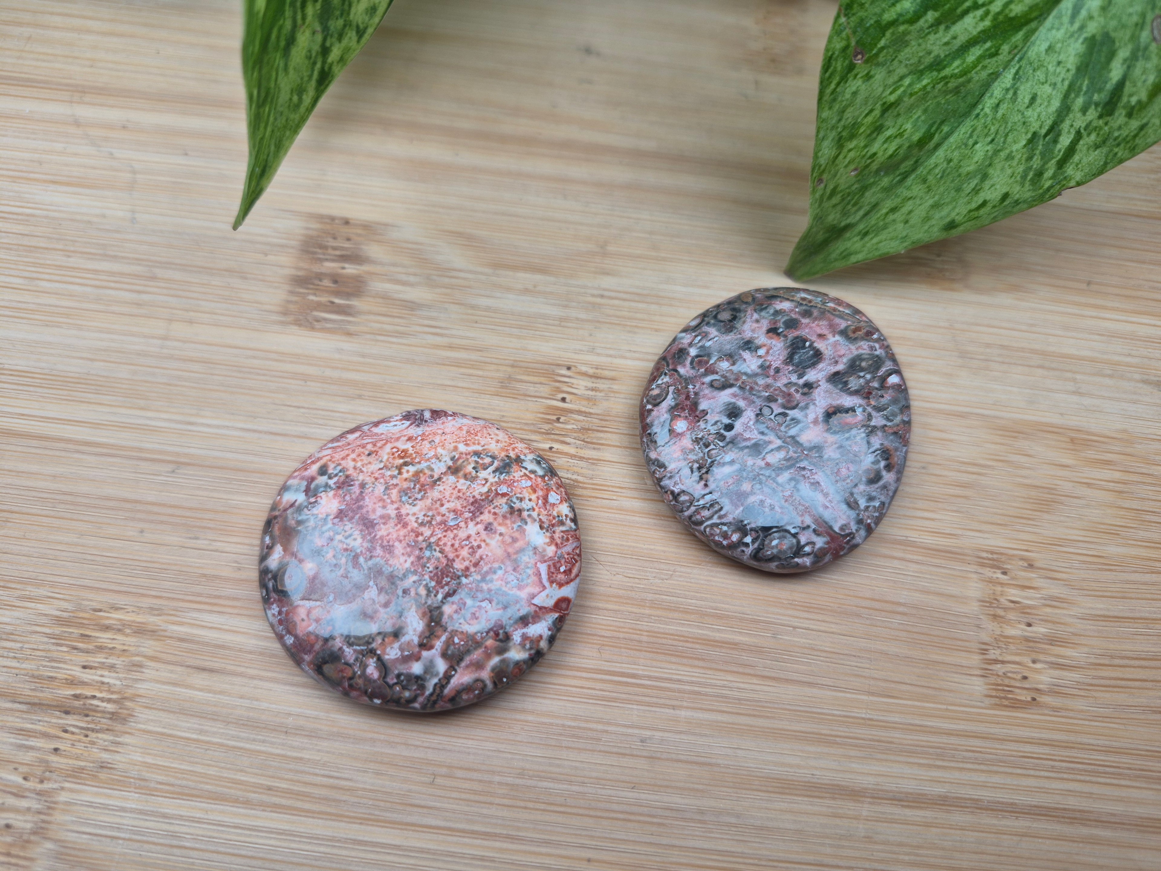 LEOPARDITE JASPER FLAT STONE