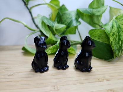 OBSIDIAN CAT