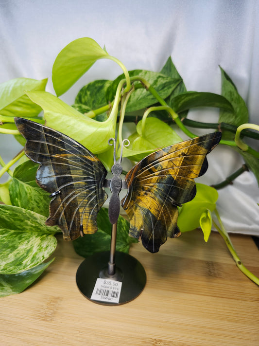 TIGER'S EYE BUTTERFLY WINGS