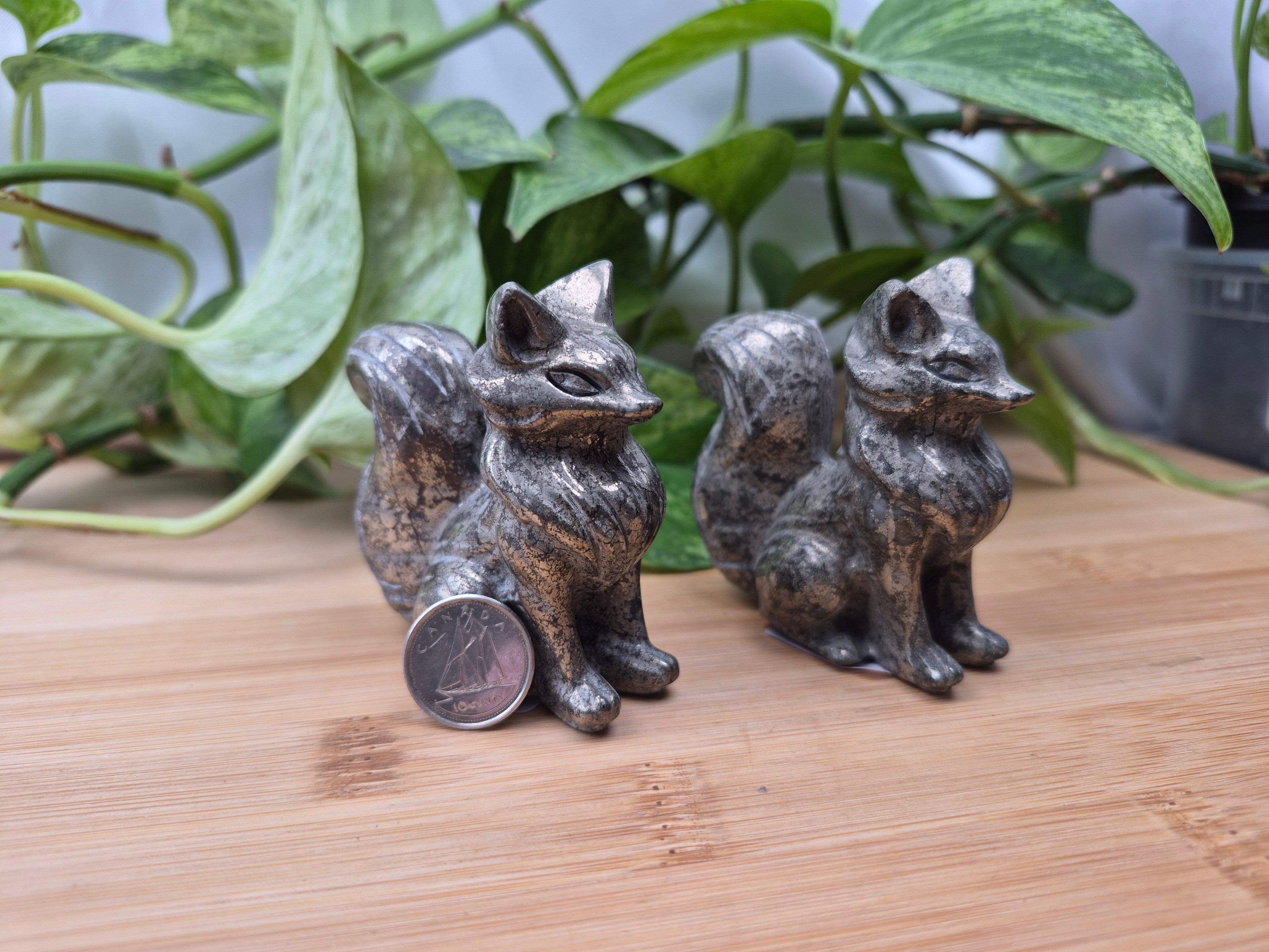 PYRITE FOX