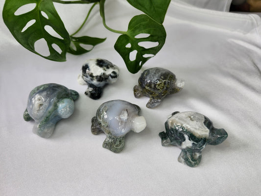 MOSS AGATE TURTLE