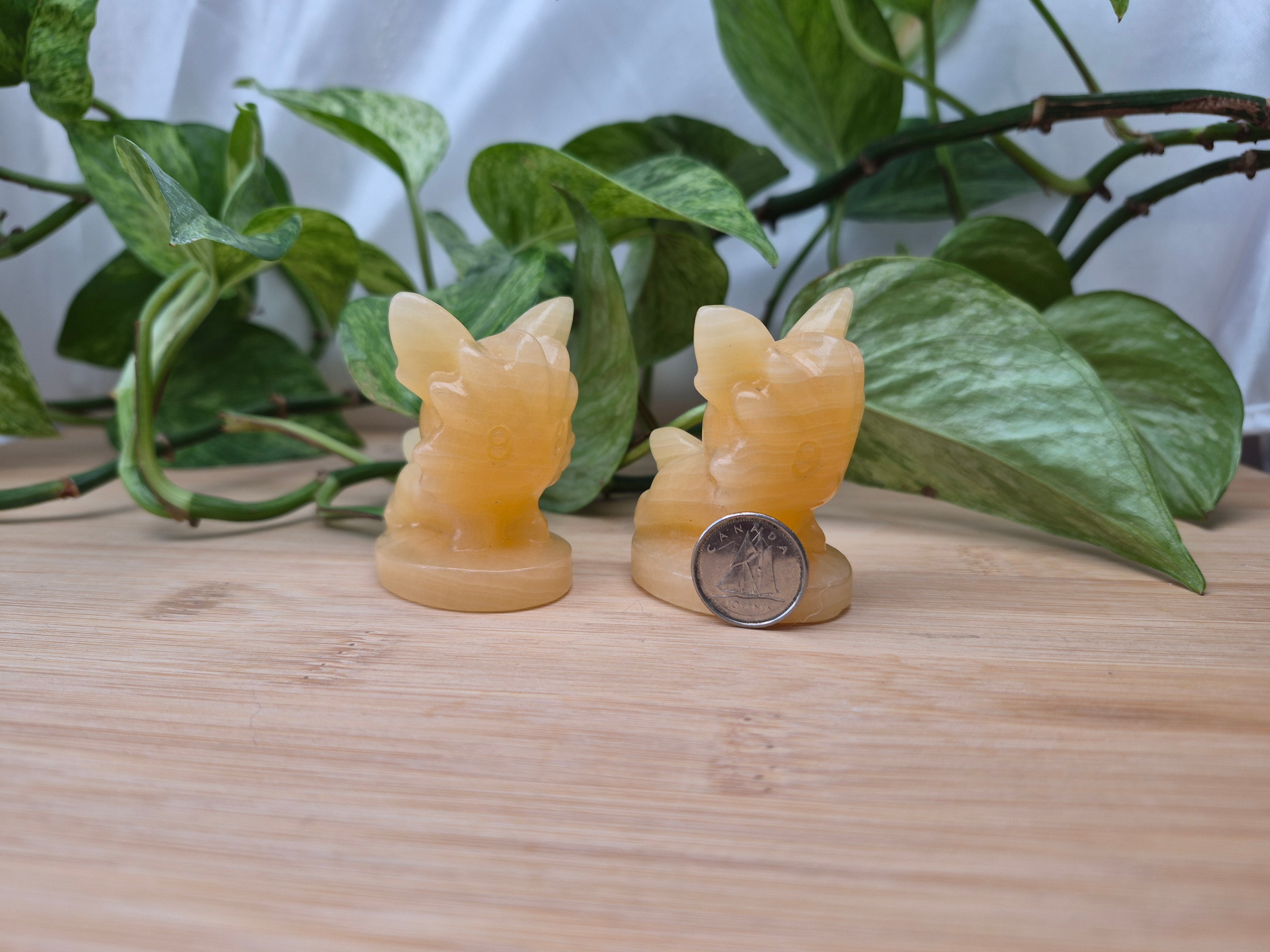 ORANGE CALCITE  LILLIPUP LG