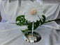 SELENITE DAISY ON STAND