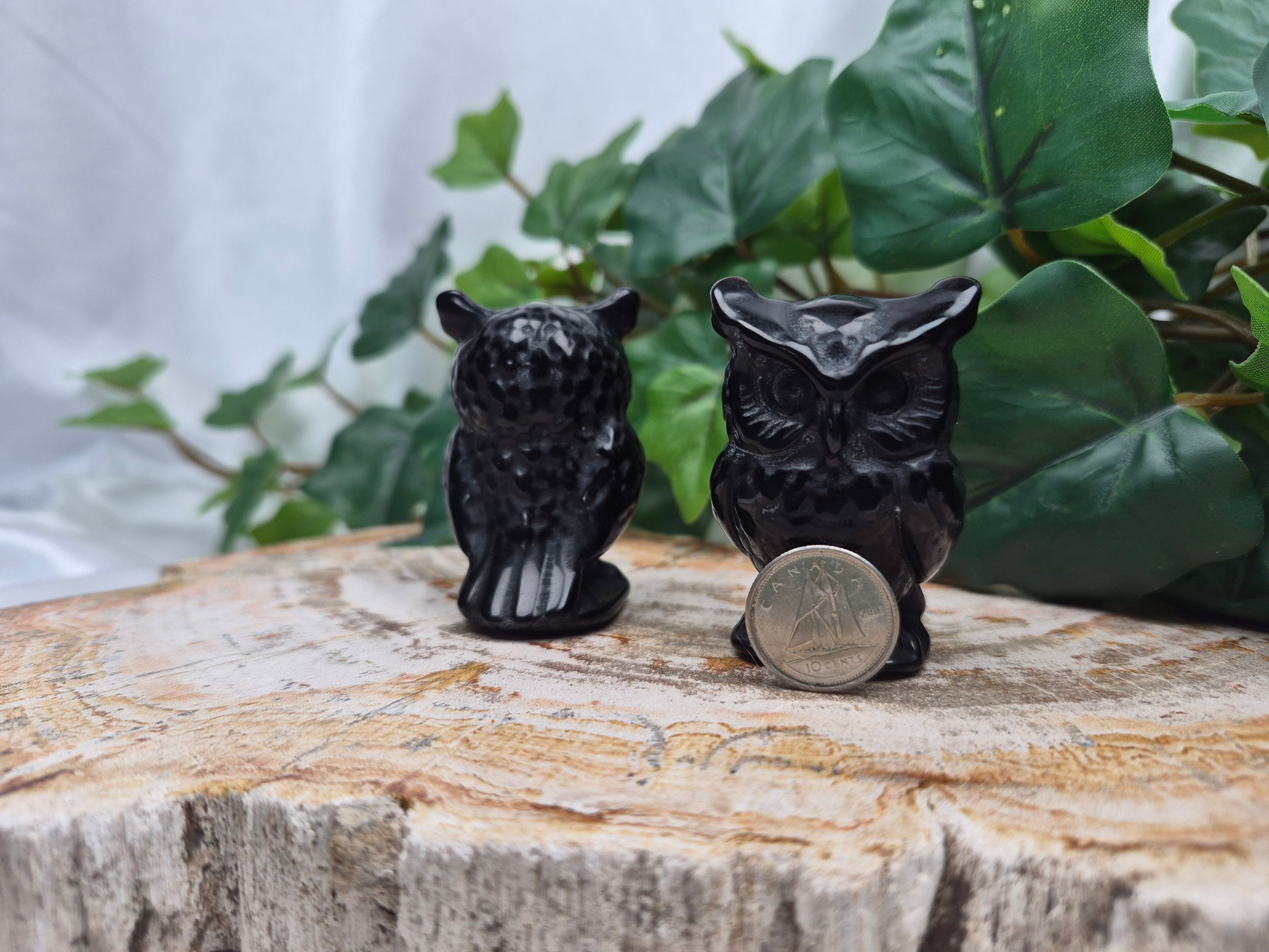 OBSIDIAN OWL