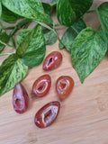 CARNELIAN "EGG"-ATE